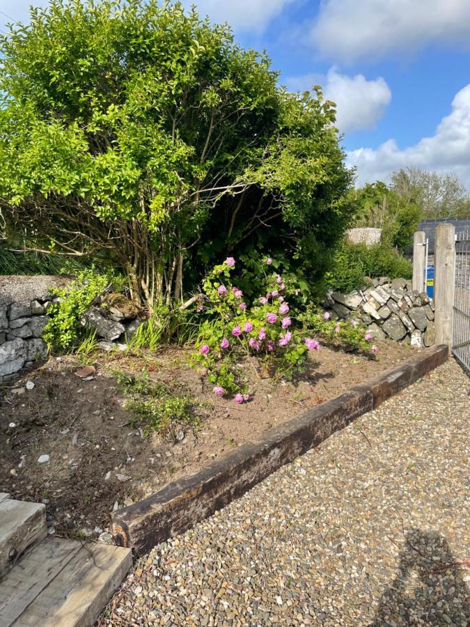 Lakeside Lodge Kilfenora Luaran gambar